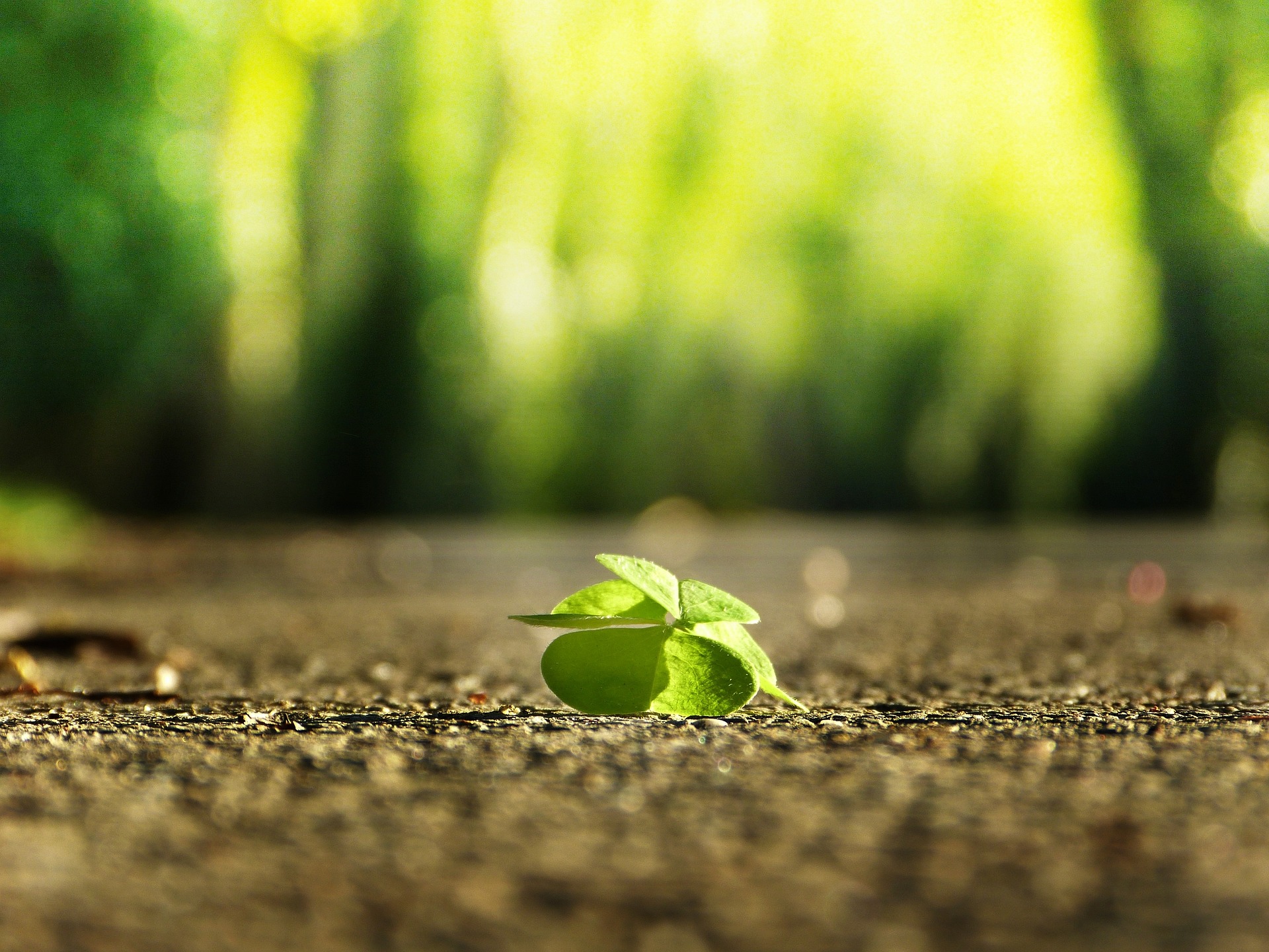 Positieve gezondheid en stress release Norg