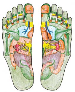Voetreflexologie en meridiaantherapie bij Studio BM Norg